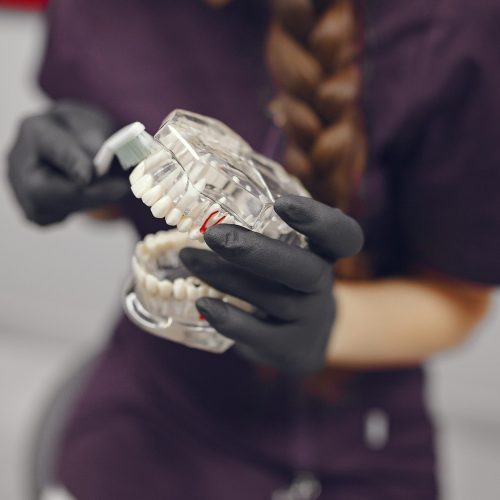 Tools in a hands. Dentist holds instruments